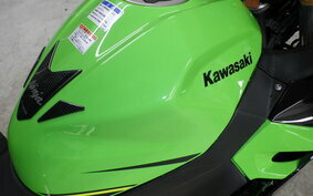 KAWASAKI NINJA 250 EX250P