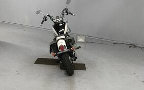 YAMAHA VIRAGO 250 3DM