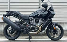 HARLEY  HARLEY  PAN  AMERICA 1250 SPECIAL  2023 ZES