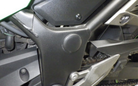 KAWASAKI NINJA 250 EX250L