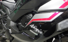 KAWASAKI NINJA 1000 SX 2024 ZXT02K