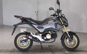HONDA GU ROM JC75