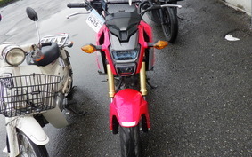 HONDA GROM JC61