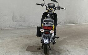 HONDA CROSS CUB 110 JA10