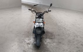 HONDA ZUMAR AF58