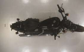 HARLEY XL1200X 2013