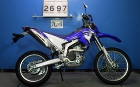 YAMAHA WR250R 2007 DG15J