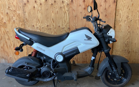 HONDA NAVI110 JF65