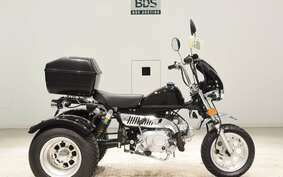 OTHER UNREGISTERED MODEL by BDS TRIKE DMJC
