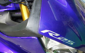 YAMAHA YZF-R25 A RG43J