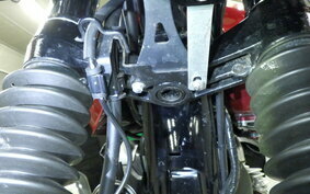 KAWASAKI W800 2022 EJ800E