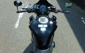 KAWASAKI Z900 2019 ZR900B