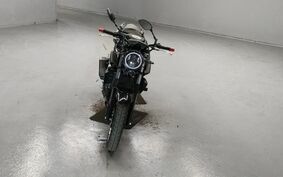 YAMAHA MT-25 RG43J