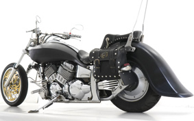 YAMAHA DRAGSTAR400 2009 VH01J