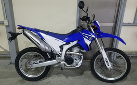 YAMAHA WR250R DG15J