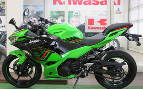 KAWASAKI NINJA 250 KRT ED EX250Y