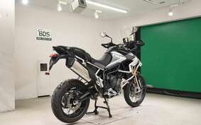 TRIUMPH TIGER900 RALLYARACO 2024