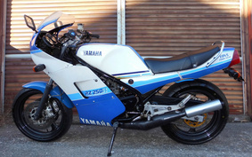 YAMAHA RZ250RR 29L