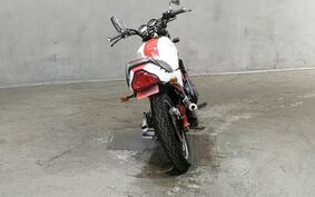 YAMAHA RZ250RR 29L