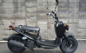 HONDA ZOOMER AF58