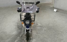 HONDA C110 SUPER CUB PRO JA42