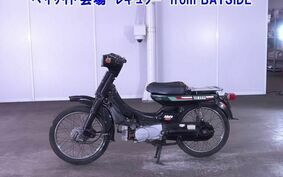 YAMAHA ﾒｲﾄ50 V50