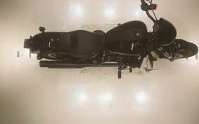 HARLEY FXLRS1920 2024