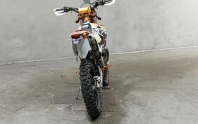 KTM 250 EXC SIXDAYS GSA