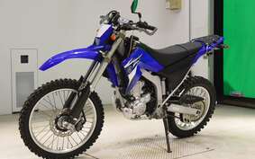 YAMAHA WR250R DG15J