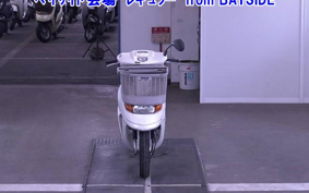 OTHER  DIO CESTA 3