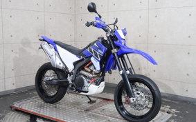 YAMAHA WR250X DG20