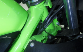 KAWASAKI NINJA 250 SL