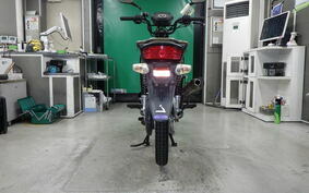 HONDA CROSS CUB 110 JA10