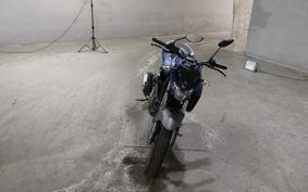 YAMAHA FZ25 RG42