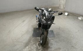 YAMAHA FZ FAZER FEATHER 2009 RN21J