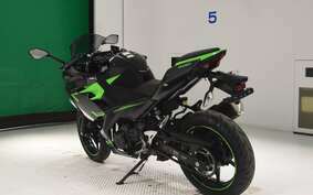 KAWASAKI NINJA 400 2019 EX400G