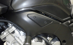 YAMAHA FZ FAZER 2009 RN21J