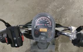 HONDA DUNK AF74