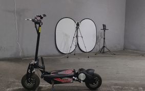 OTHER DENDOU SCOOTER  ..