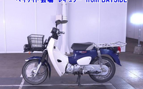 OTHER C110-3