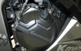 KAWASAKI NINJA 250 EX250L