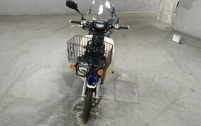 HONDA C110 SUPER CUB PRO JA42