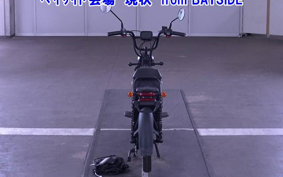 OTHER MINI BIKE