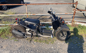 HONDA ZOOMER AF58