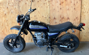 HONDA APE50 TYPE D AC18