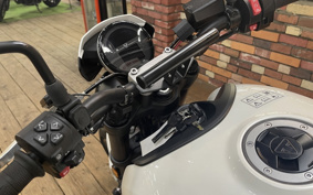 TRIUMPH  TRIUMPH  TRIDENT 660 2021 LGL10U