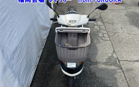 OTHER  DIO CESTA 3