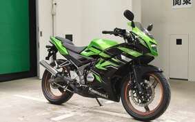 KAWASAKI NINJA150RR KR150P