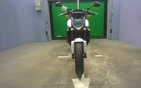 YAMAHA FZ FAZER 2009 RN21J