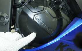 KAWASAKI NINJA 250 ABS EX250L